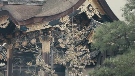 Facade-Of-The-Famous-Flatland-Nijo-Castle-In-Kyoto,-Japan