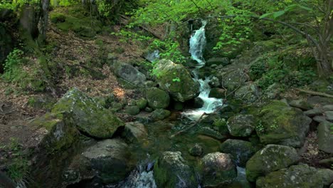 Small-waterfall-and-a-river-flowing-through-a-lush,-green-forest