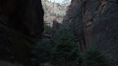 A-view-of-the-tall-cliffsides-along-the-Narrows-hike-in-Utah