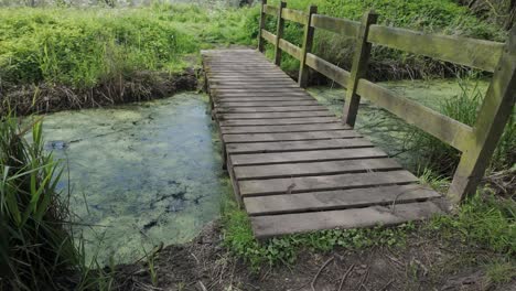 Wooden-footbridge-crosses-marsh-drainage-ditch,-Suffolk-wetland-fens