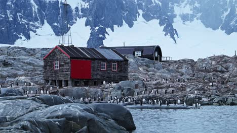 Port-Lockroy-Gentoo-Penguins-Colony-in-Antarctica,-Antarctic-Peninsula-Wildlife-and-Animals-with-the-Famous-Post-Office-Hut-Building-in-Beautiful-Winter-Landscape-Scenery