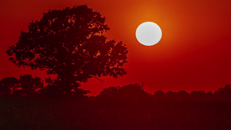 Timelapse-telephoto-sunset,-large-yellow-sun,-fiery-red-and-orange-sky