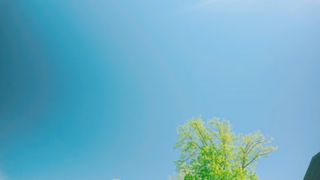 Tilt-down-from-blue-sky-to-reveal-remote-rural-village-houses-in-the-Baltic-region-during-a-travel-trip