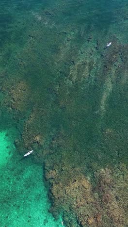 Vertical-aerial-view-of-corals-and-underwater-habitats-in-La-Entrega-Bay,-Huatulco,-Oaxaca