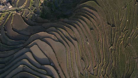 Aerial-drone-shot-flying-over-bright-green-rice-terraces-and-highland-villages-in-the-mountains-of-Sapa,-Vietnam