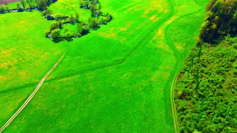 Vista-Aérea-De-Campos-Verdes-Con-Senderos-Sinuosos-Y-Zonas-Boscosas.