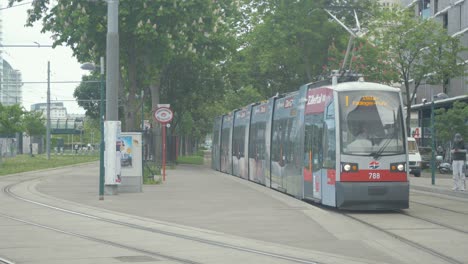 Tram-passes-through-avenue-of-trees-approaching-stop