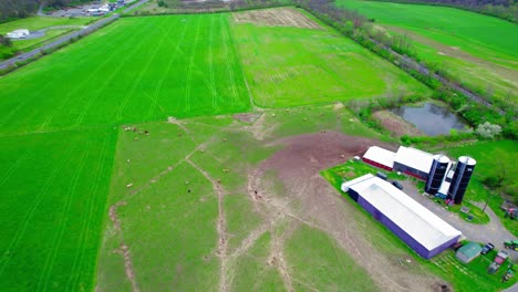 Cattle-farm-in-Howard,-Pennsylvania,-USA_aerial-shot