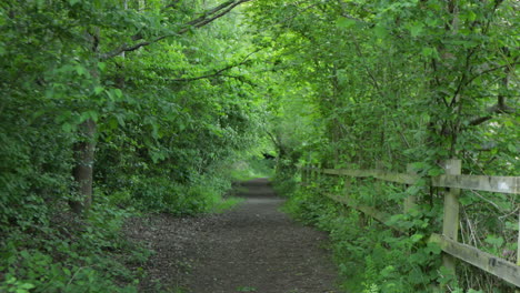 Wooden-Fence-Trails-In-Chafford-Gorges-Nature-Park-In-Chafford-Hundred,-England