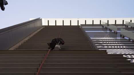 A-window-washer-re-wets-his-squeegee-on-the-side-of-a-skyscraper