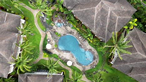 Luxury-Pool-on-Hawaii-from-Vertical