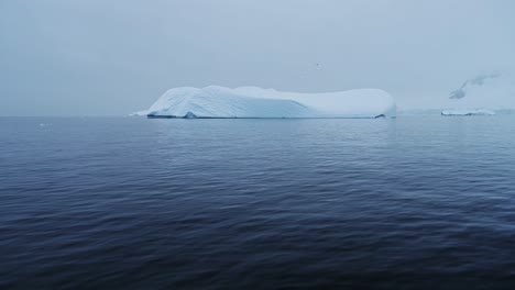 Antarctica-Iceberg-and-Bird-Flying,-Seabird-in-Flight-in-Coastal-Ocean-and-Sea-Blue-Winter-Landscape-Scenery,-Birdlife-on-the-Antarctica-Peninsula-Coast-on-Zodiac-Boat-Tour-Wildlife-Trip-Excursion