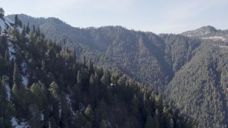 Aerial-view-of-a-dense-pine-forest-in-a-national-park,-with-snow-capped-mountains-in-the-background