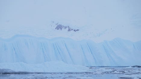 Slow-Motion-Shot-of-Birds-Flying-in-Antarctica-Landscape,-Seabirds-in-Flight-Flying-Past-Icebergs-in-Winter-Scenery-with-Amazing-Beautiful-Dramatic-Ice-Covered-and-Snowy-Snow-Covered-Scene