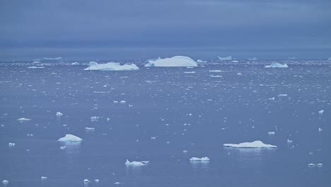 Hielo-E-Icebergs-Flotando-En-El-Mar-En-La-Antártida,-Muchos-Pequeños-Trozos-Y-Trozos-De-Hielo-En-El-Océano-Azul,-Agua-De-Mar-En-La-Península-Antártica-En-Un-Paisaje-Marino-Helado-Y-Helado-De-Invierno.