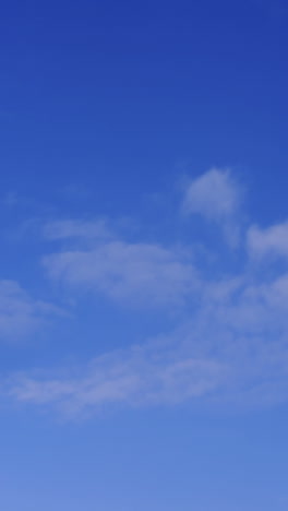 Two-dove-birds-flying-against-blue-sky