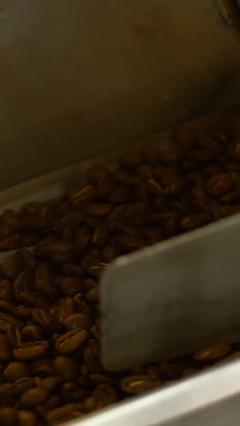 Man-pouring-coffee-beans-in-weighing-machine