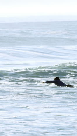 Surfers-surfing-in-sea