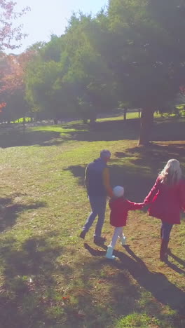 Familia-Caminando-En-El-Parque