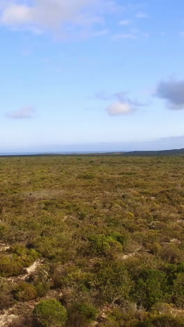 View-of-green-landscape