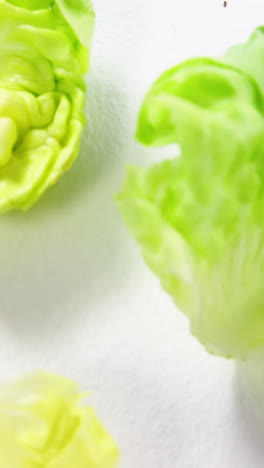 Close-up-of-lettuce