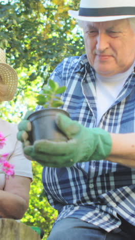 Pareja-Mayor,-Jardinería,-Juntos,-En,-Jardín