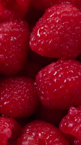 Frische-Himbeeren