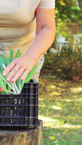 Senior-woman-examining-flowers-in-garden