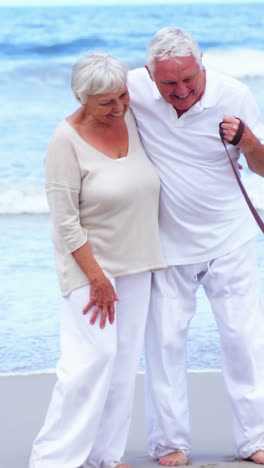 Happy-senior-couple-playing-with-dog-on-the-beach