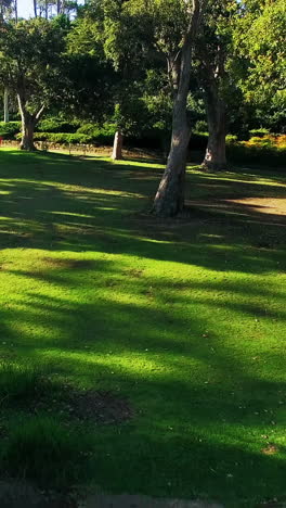 Ausblicke-Auf-Die-Parklandschaft