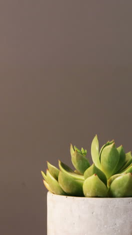 Close-up-of-illuminated-table-lamp