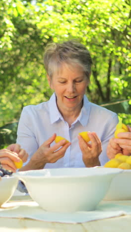 Ältere-Paare-Entfernen-Samen-Von-Aprikosenfrüchten-Im-Garten