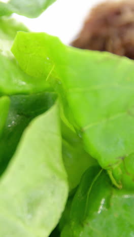 Close-up-of-lettuce