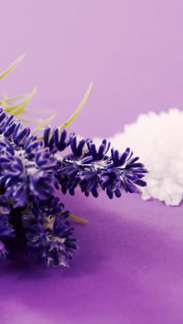 Close-up-of-sea-salt-and-flowers