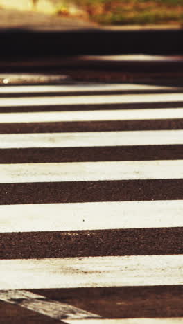 Time-lapse-of-pedestrian-walking-on-zebra-crossing