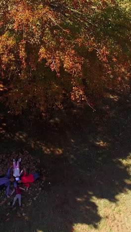 Family-enjoying-at-park