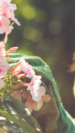 Ältere-Frau-Schneidet-Blumen-Im-Garten