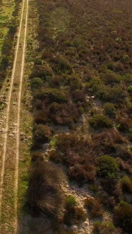 Aerial-view-of-a-dirt-road-winding-through-mountainous-terrain