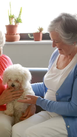 Ältere-Frauen-Verwöhnen-Hund