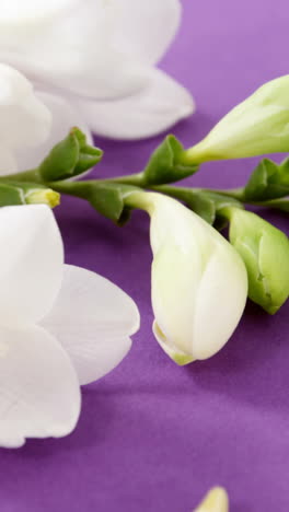 White-flowers-decorated