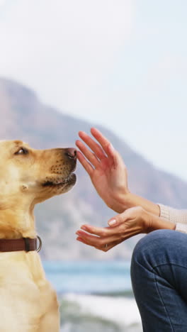 Glückliche-Reife-Frau,-Die-Mit-Hund-Am-Strand-Spielt