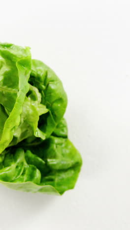 Close-up-of-lettuce