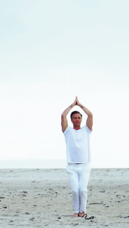 Mature-couple-performing-yoga-at-beach