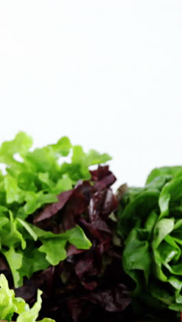 Leafy-vegetables-on-wooden-table