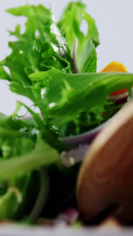 Close-up-of-mixing-salad