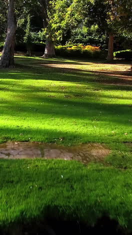 Ausblicke-Auf-Die-Parklandschaft