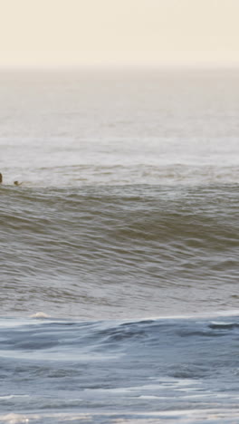 Surfer-Surfen-Im-Meer