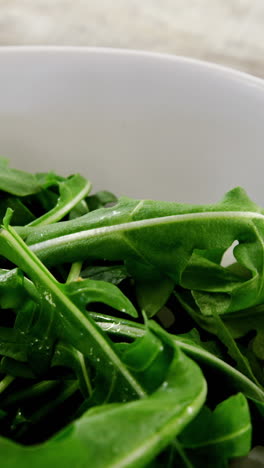 Arugula-in-bowl