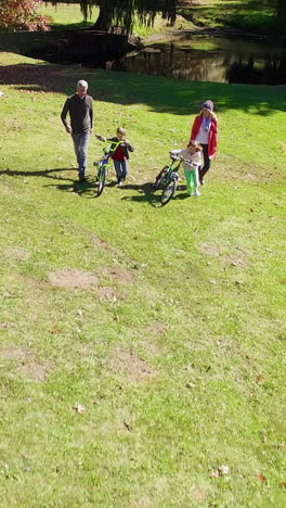 Familia-Caminando-En-El-Parque