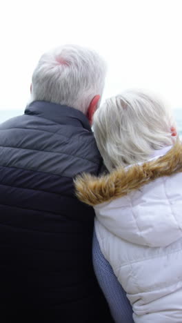 Rear-view-of-senior-couple-looking-at-sea